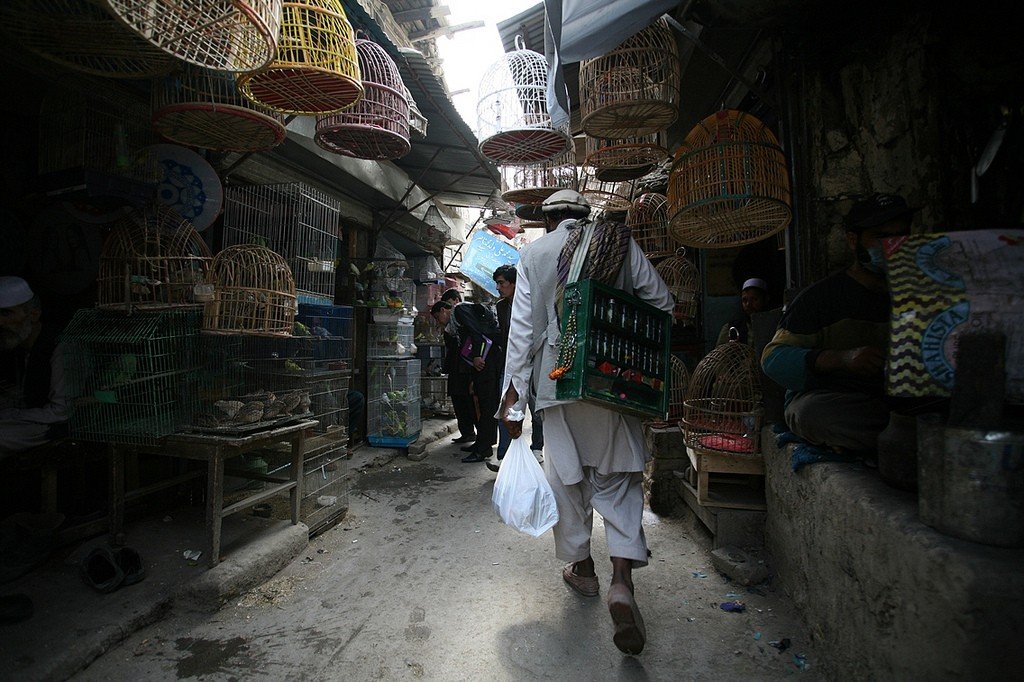 kabul 42