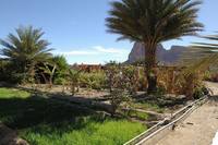 aljir 11