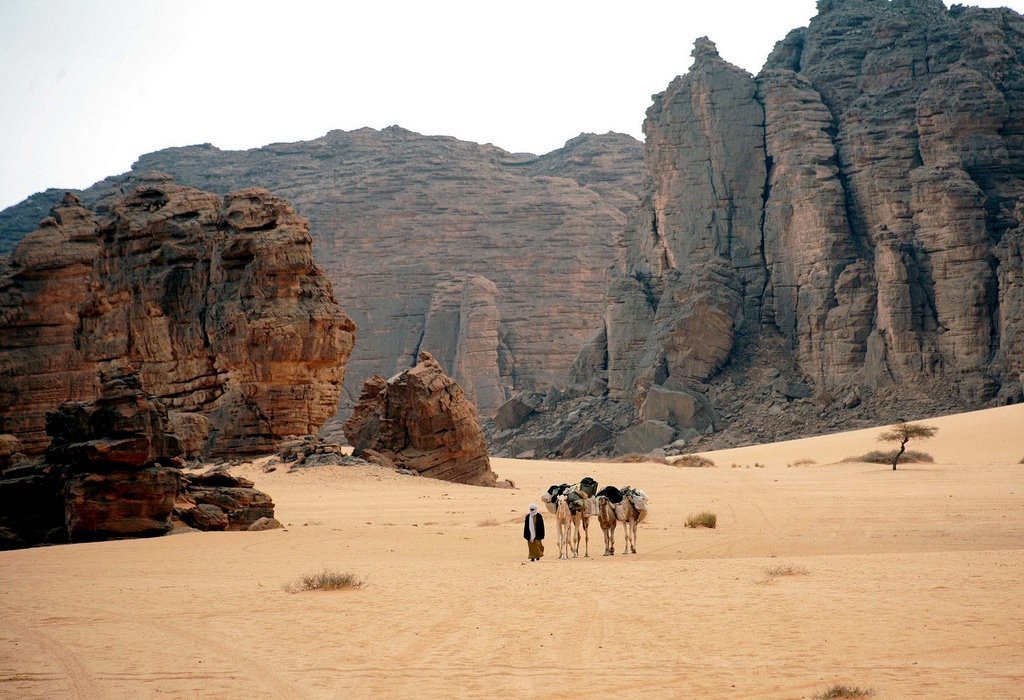 aljir 12