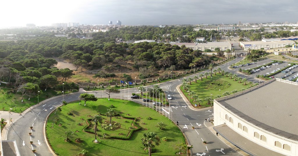 aljir 50