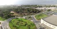 aljir 50