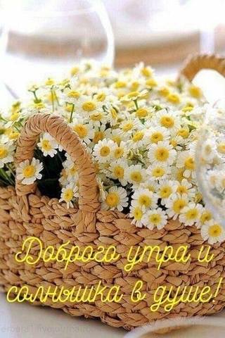 Tapтaлeтки & Ко