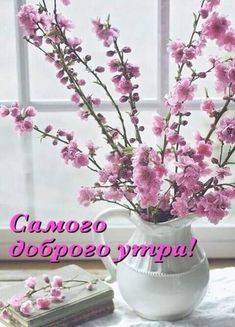 Tapтaлeтки & Ко