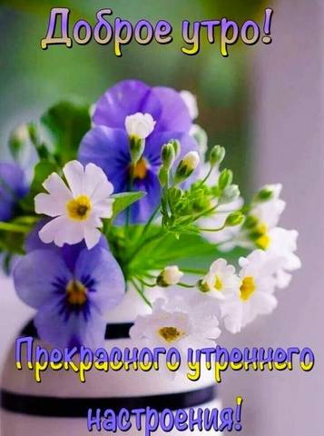 Tapтaлeтки & Ко