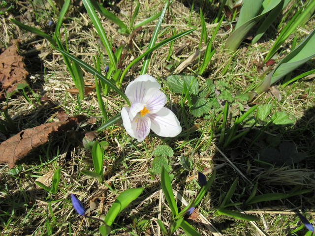 VFL.RU - ваш фотохостинг