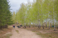 VFL.RU - ваш фотохостинг