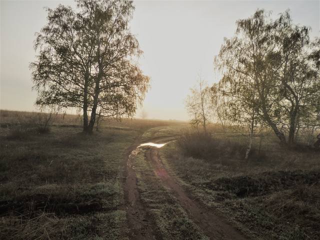 VFL.RU - ваш фотохостинг