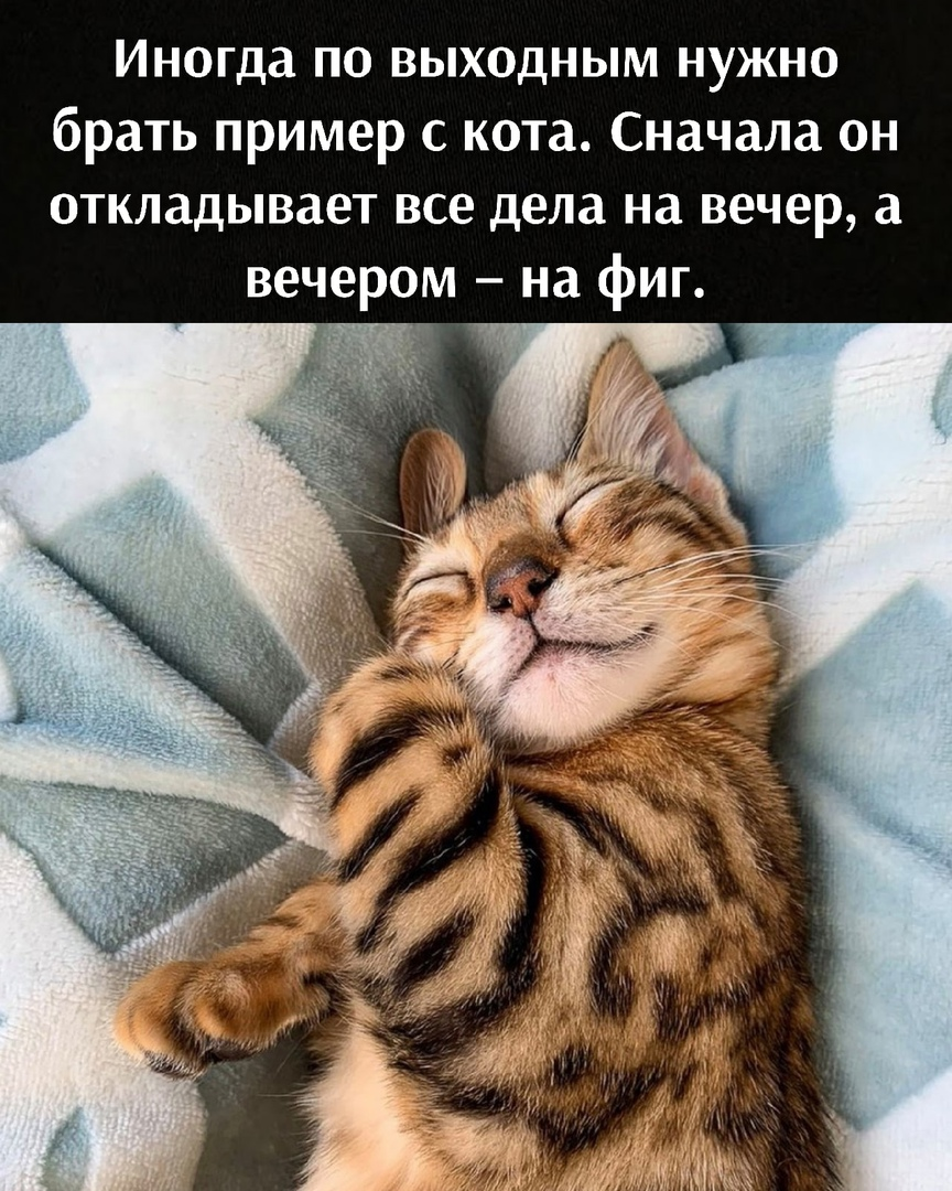 CXXAAYxwis