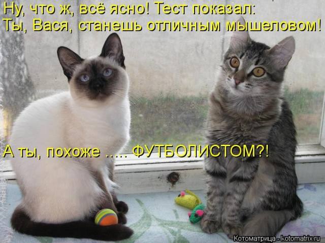 VFL.RU -  