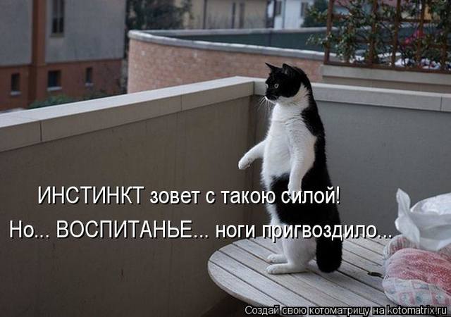 VFL.RU -  