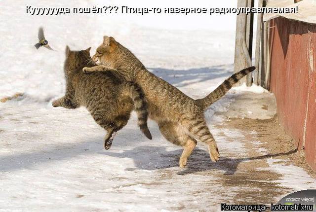 VFL.RU -  