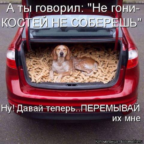 VFL.RU -  