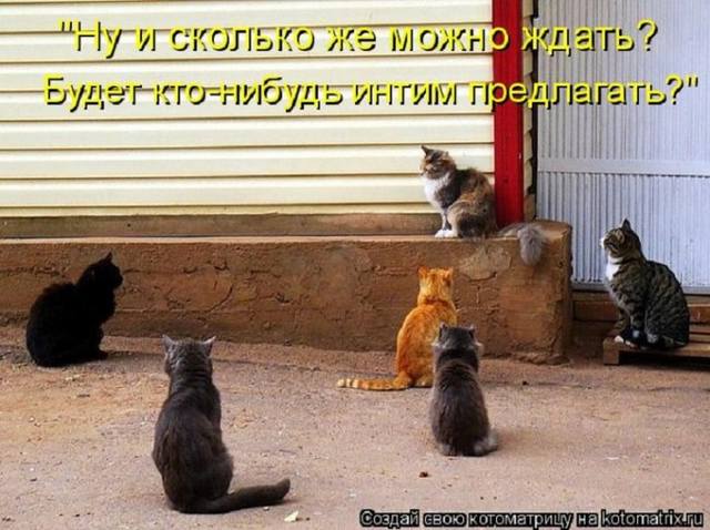 VFL.RU -  