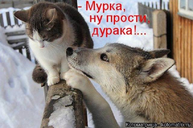 VFL.RU -  