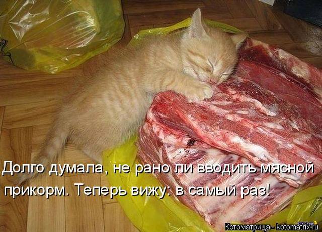 VFL.RU -  