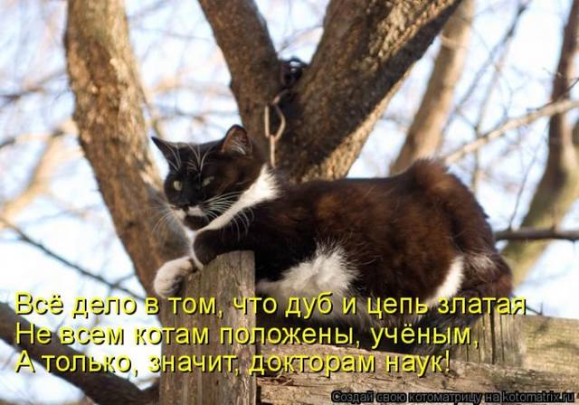 VFL.RU -  
