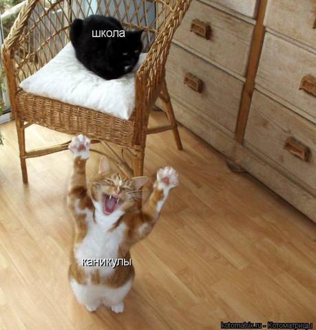 VFL.RU -  