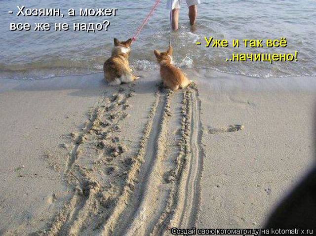 VFL.RU -  