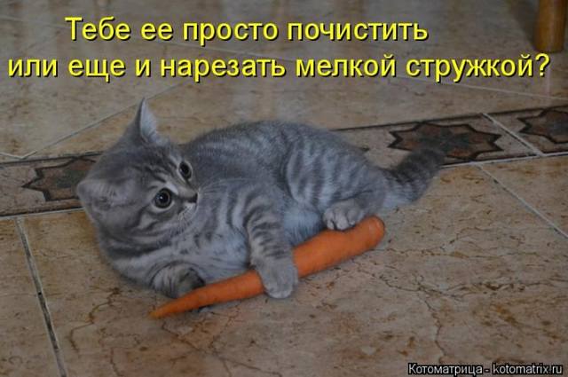 VFL.RU -  