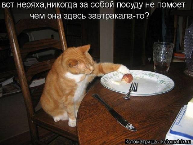 VFL.RU -  