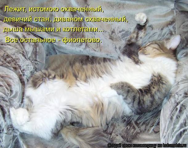 VFL.RU -  
