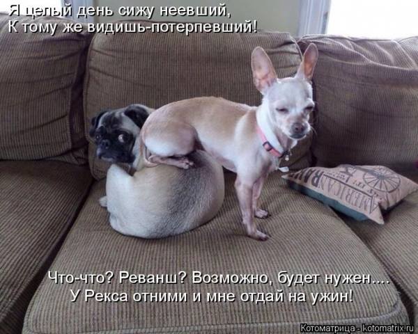 VFL.RU -  