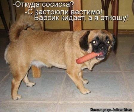 VFL.RU -  