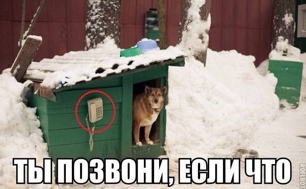VFL.RU -  