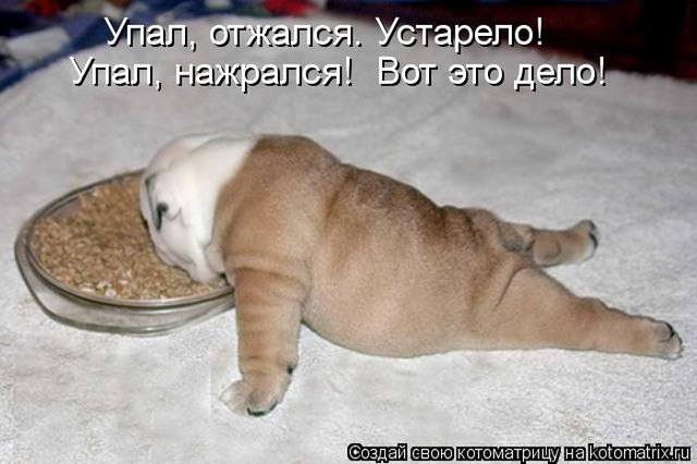 VFL.RU -  