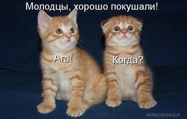 VFL.RU -  