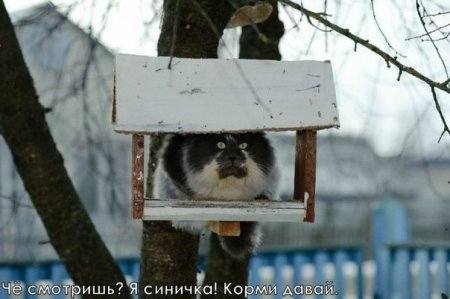 VFL.RU -  