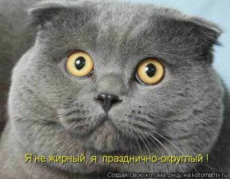 VFL.RU -  