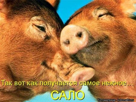 VFL.RU -  