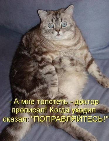 VFL.RU -  