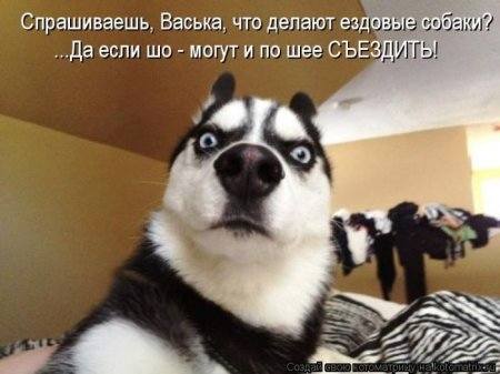 VFL.RU -  