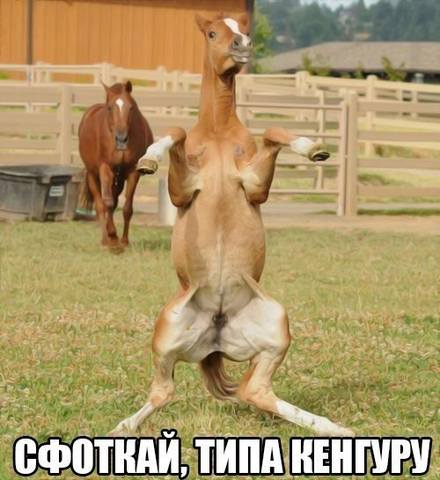 VFL.RU -  
