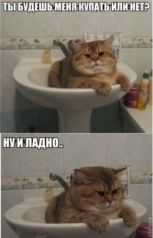 VFL.RU -  