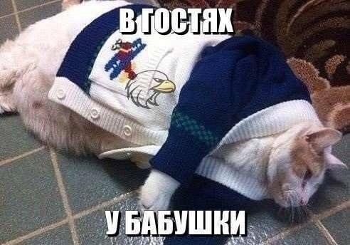 VFL.RU -  