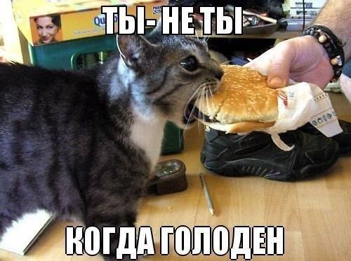 VFL.RU -  