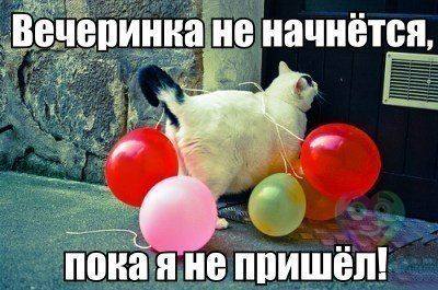 VFL.RU -  