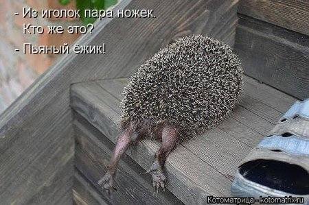 VFL.RU -  