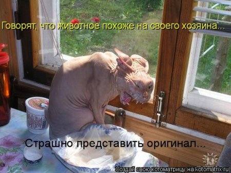 VFL.RU -  