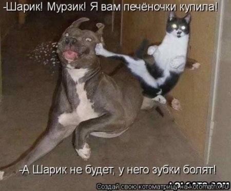 VFL.RU -  