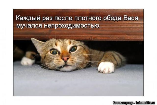 VFL.RU -  