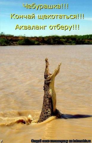 VFL.RU -  