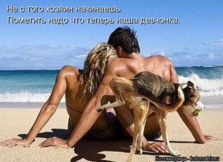 VFL.RU -  