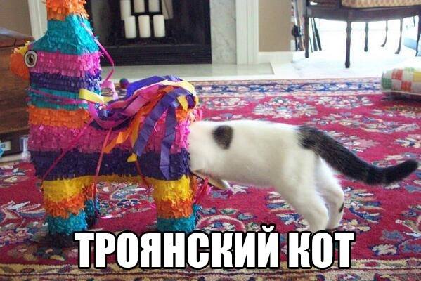 VFL.RU -  