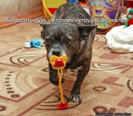 VFL.RU -  
