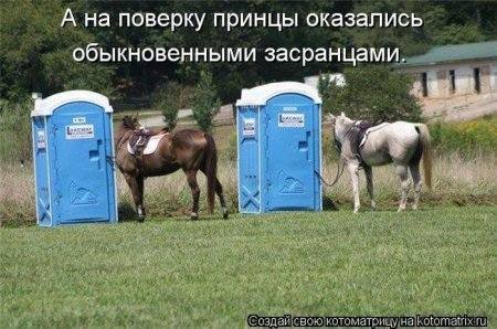 VFL.RU -  