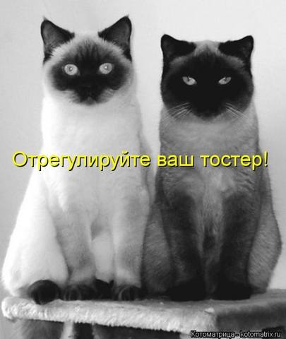 VFL.RU -  